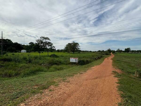 VENDO 10 HECTAREAS CAACUPEMI CONCEPCION — foto 3