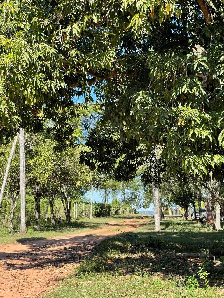 VENDO TERRENO EN TARUMANDY LUQUE — foto 3