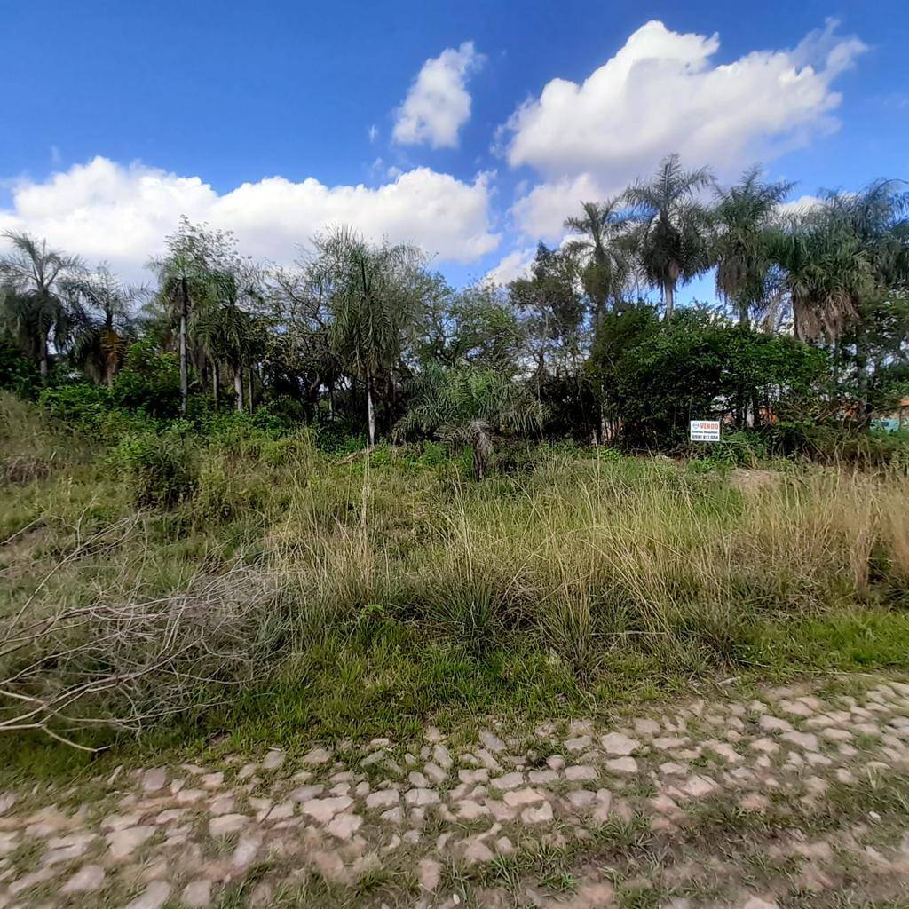 EN VENTA LOTE EN SAN BERNARDINO - CIERVO KUA — foto 2
