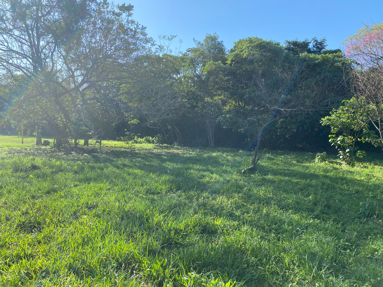 Vendo Terreno Titulado Gs. 85 Millones — foto 2