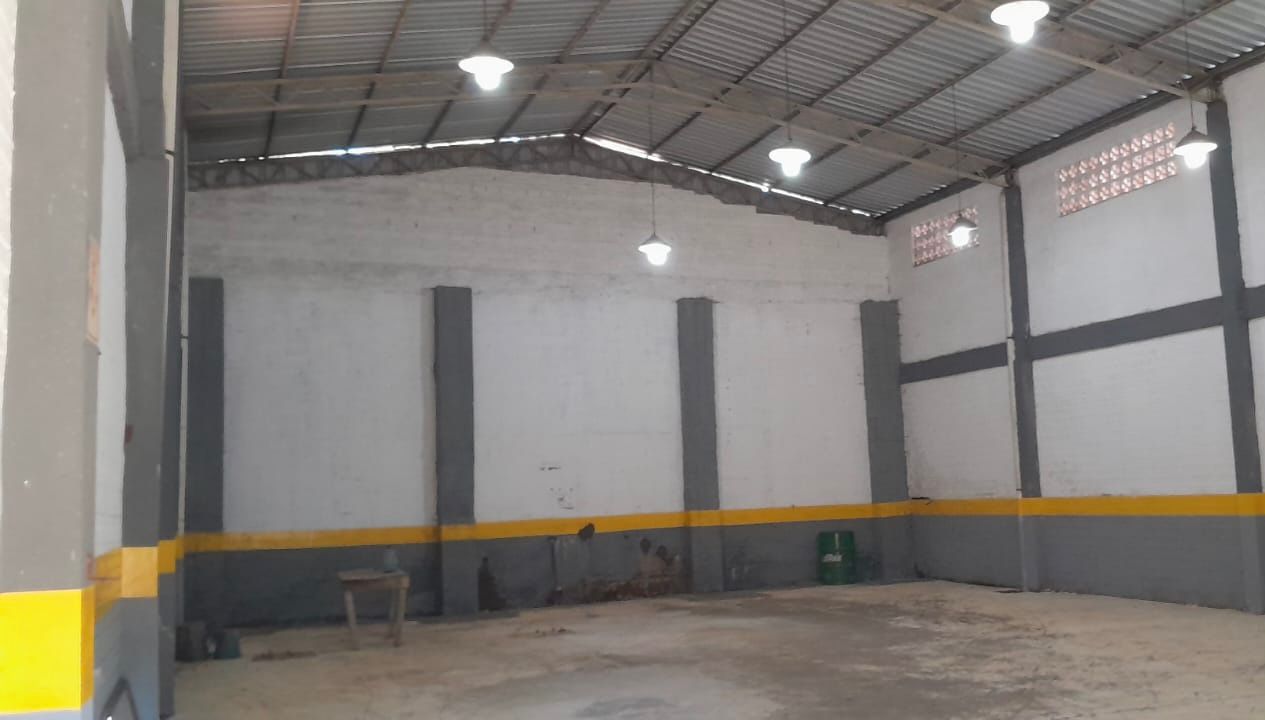 TINGLADO EN ALQUILER – SAN LORENZO, FDO ZONA SUR SOBRE AVDA. AVELINO MARTÍNEZ — foto 3