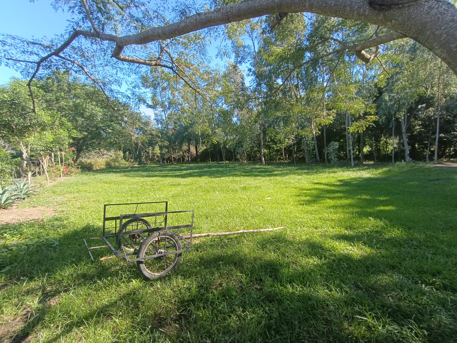 Quinta de 6 hectáreas en Sapucai con arroyo y vista al cerro abarcando — foto 3