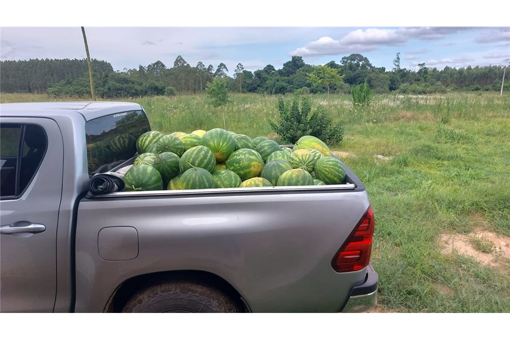 VENDO CAMPO PRODUCTIVO EN SAN JUAN NEPOMUCENO — foto 3