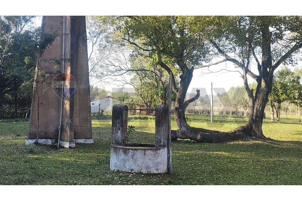 Vendo 13 hectáreas en Itacurubí de la Cordillera — foto 3