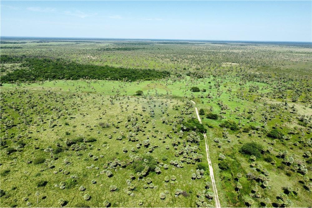 VENTA ESPECTACULAR CAMPO BENAMIN ACEVAL-R 09 KM 49 — foto 2