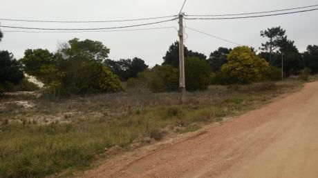 Gran Terreno En Punta Pinares