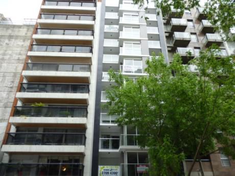 Alquiler Monoambiente Próximo A Parque Biarritz