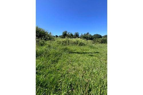 Terreno en venta en Raúl Arsenio Oviedo — foto 3
