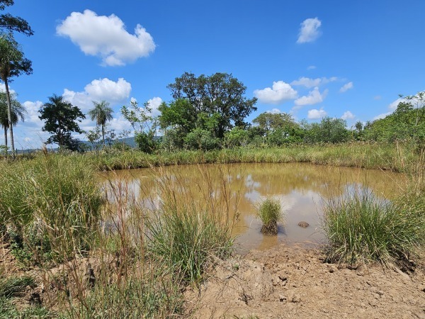 Campo en venta en Carapeguá — foto 3