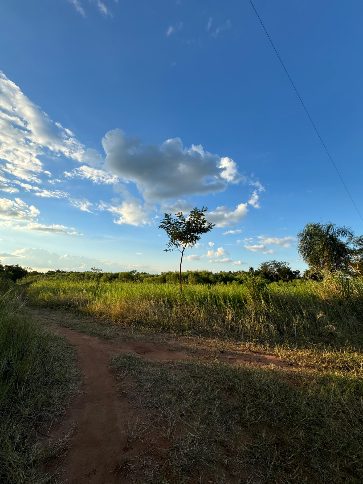 Vendo 14 hectáreas en arroyos y esteros — foto 2