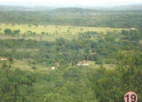 Ytu Guazu, Pura Naturaleza, Con 500 M Del Arroyo Ytu Cruzando La Finca