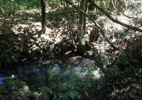 30 Ha Ramal Luque-san Bernardino. 326m Sobre Ruta