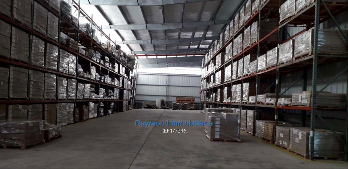 Alquiler Local  5560m2 edif. 5 has de terreno. San José · Foto 6