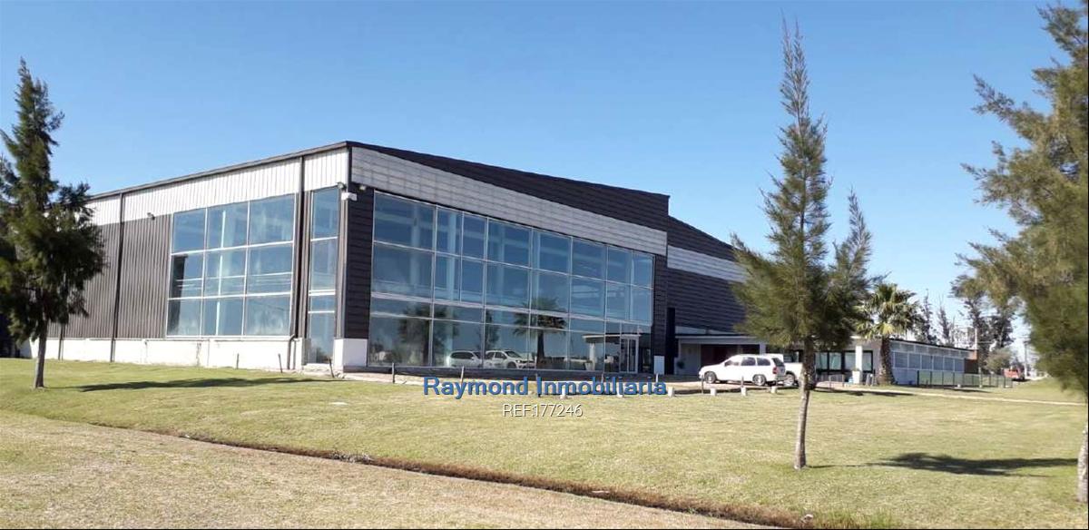 Alquiler Local  5560m2 edif. 5 has de terreno. San José · Foto 3