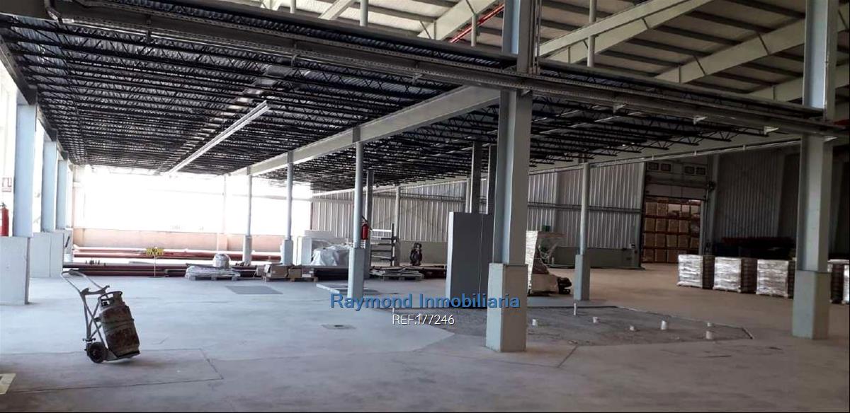 Alquiler Local  5560m2 edif. 5 has de terreno. San José · Foto 5