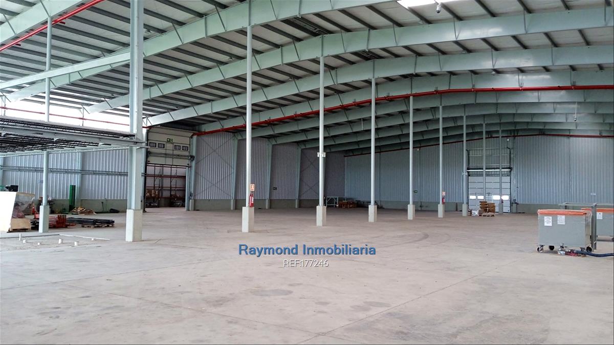 Alquiler Local  5560m2 edif. 5 has de terreno. San José · Foto 4