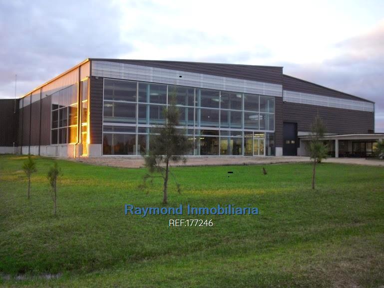 Alquiler Local  5560m2 edif. 5 has de terreno. San José · Foto 2