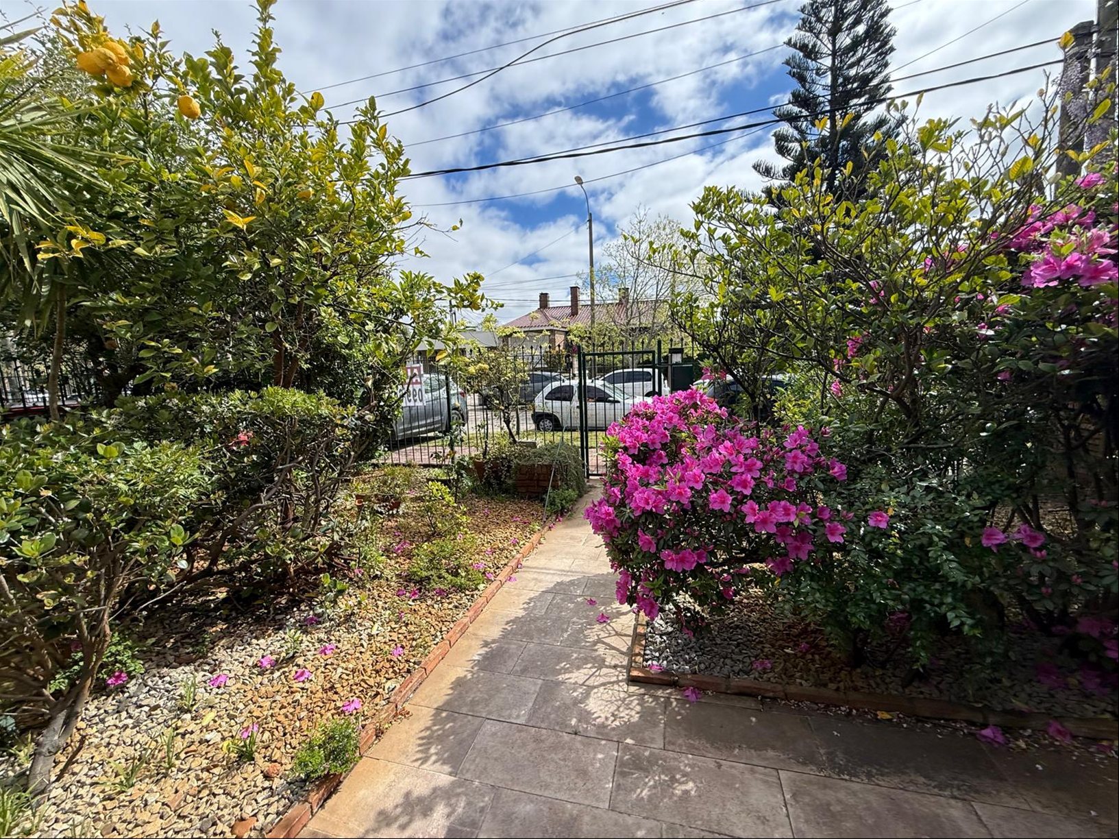 ALQUILER CASA de 4 privados y 2 baños para empresa en Punta Gorda · Foto 11
