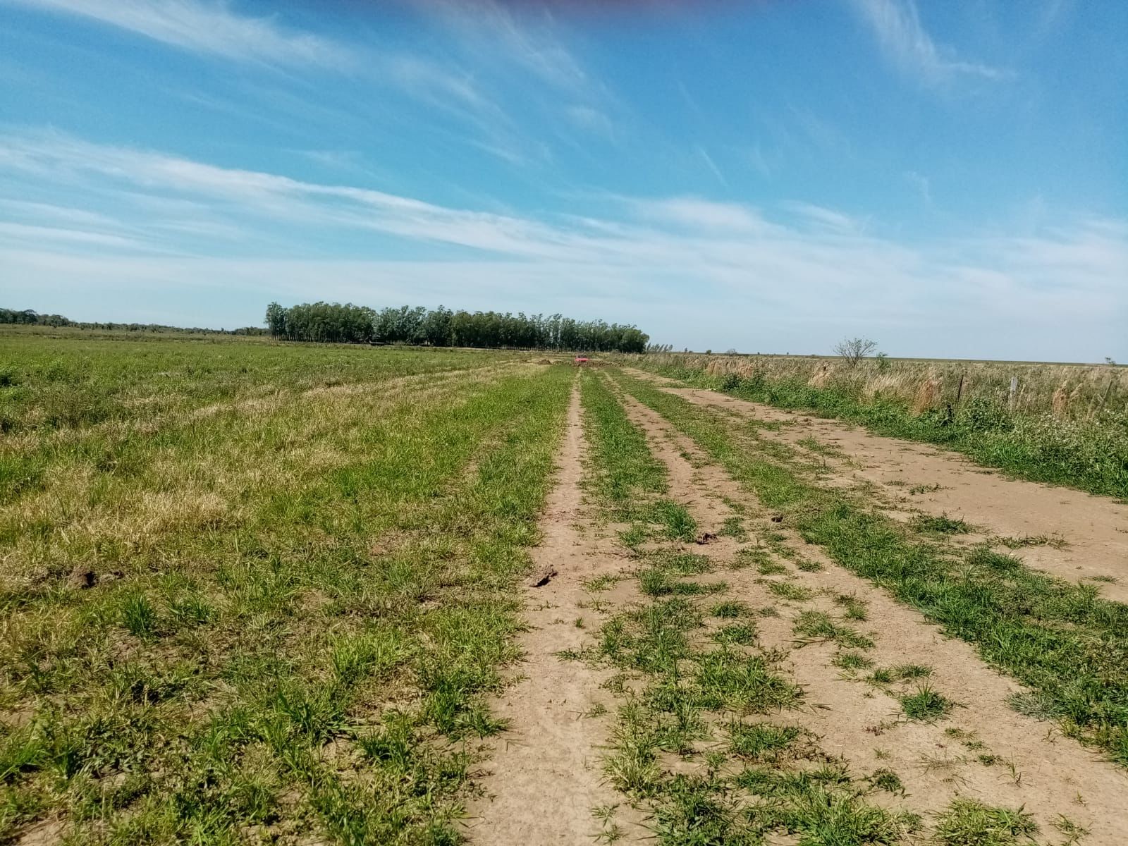 Vendo hermoso campo de 114 hectáreas en Coronel Bogado - CLCS4765611 — foto 2