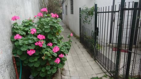 PrÓx. Carlos Ma. RamÍrez Y Agraciada, Belvedere, Montevideo