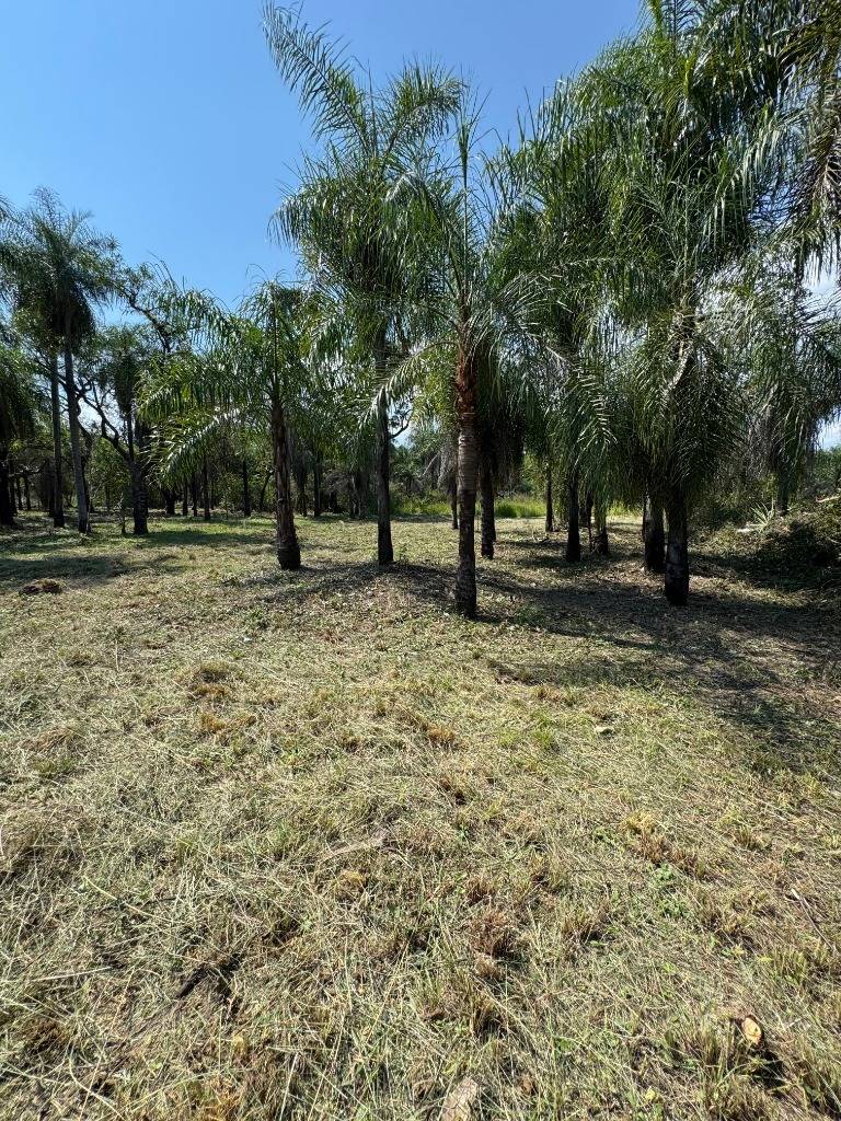 TERRENO EN VENTA – SAN BERNARDINO, ZONA CIERVO CUÁ — foto 3
