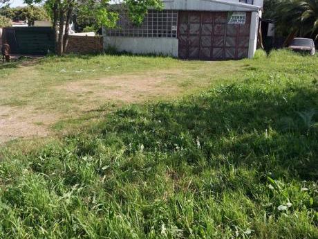 Local Para Deposito O Comercial Luis Batlle Berres
