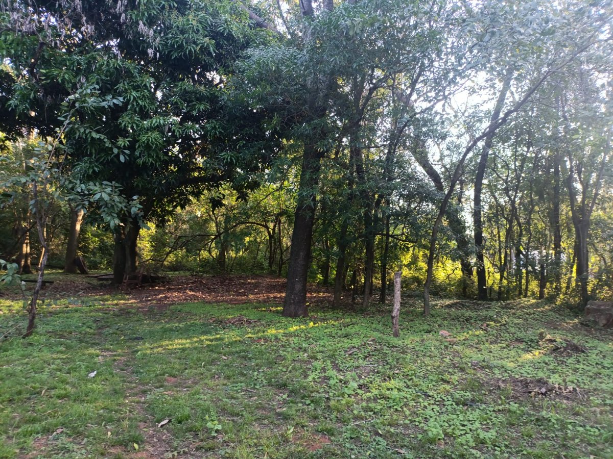 Terreno en Venta en Caacupé – 7.708 m² de Naturaleza — foto 3