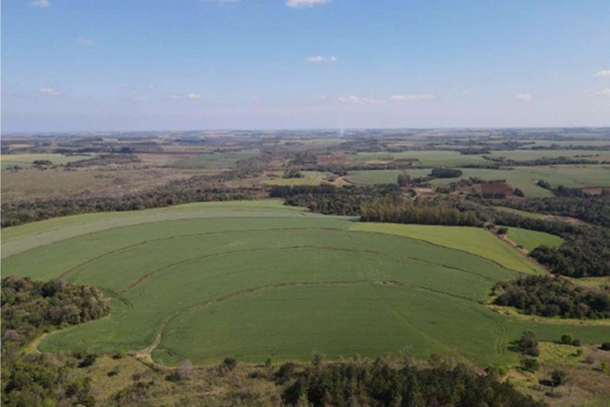 87 Hectáreas con 1.836 m2 de terreno en Itapúa, Paraguay — foto 2