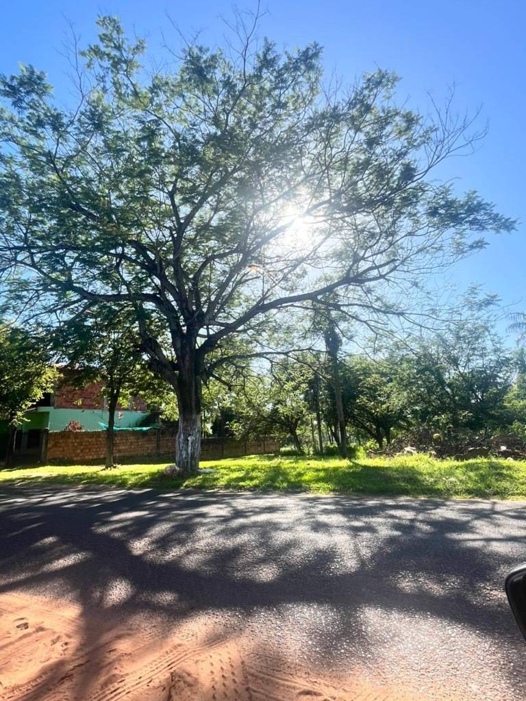 Vendo terreno amplio en Luque — foto 3