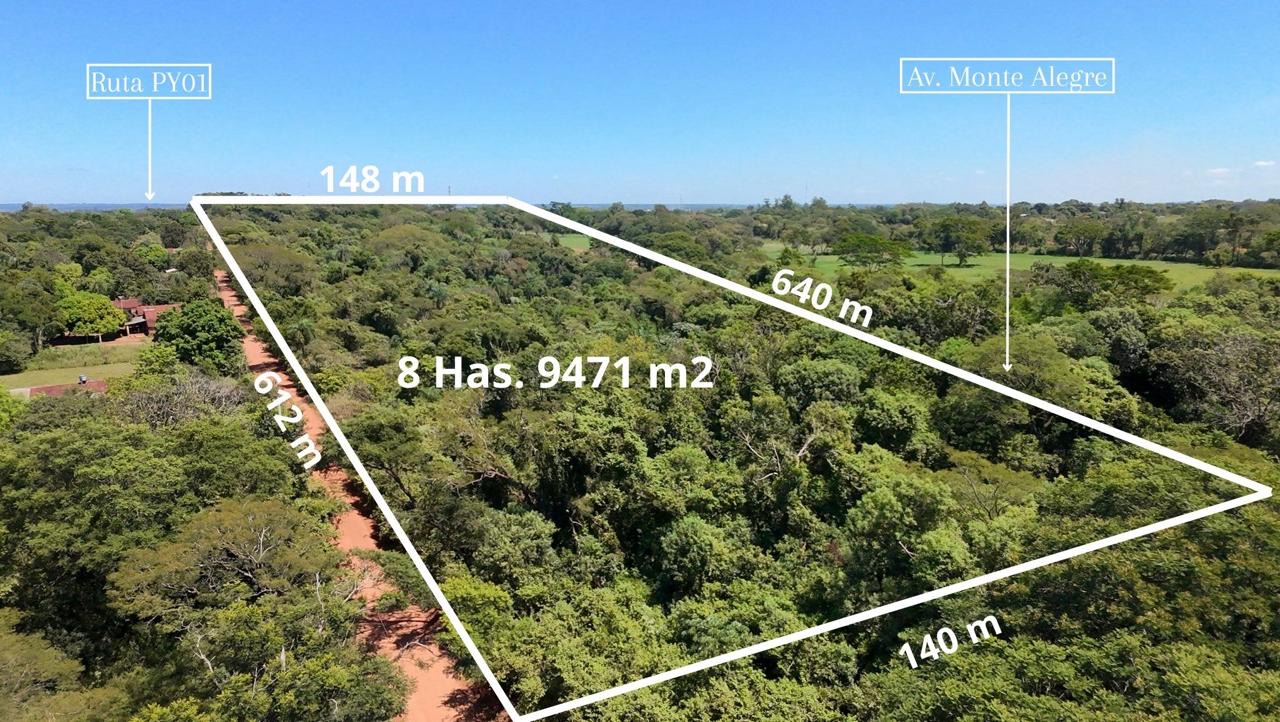 Terreno en venta en Coronel Bogado — foto 3