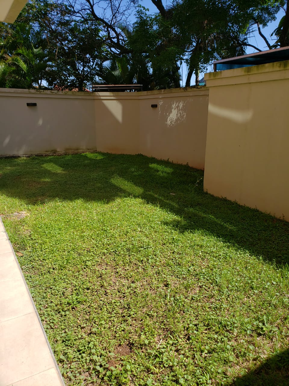 departamento en planta baja , tipo Dúplex  con patio — foto 3