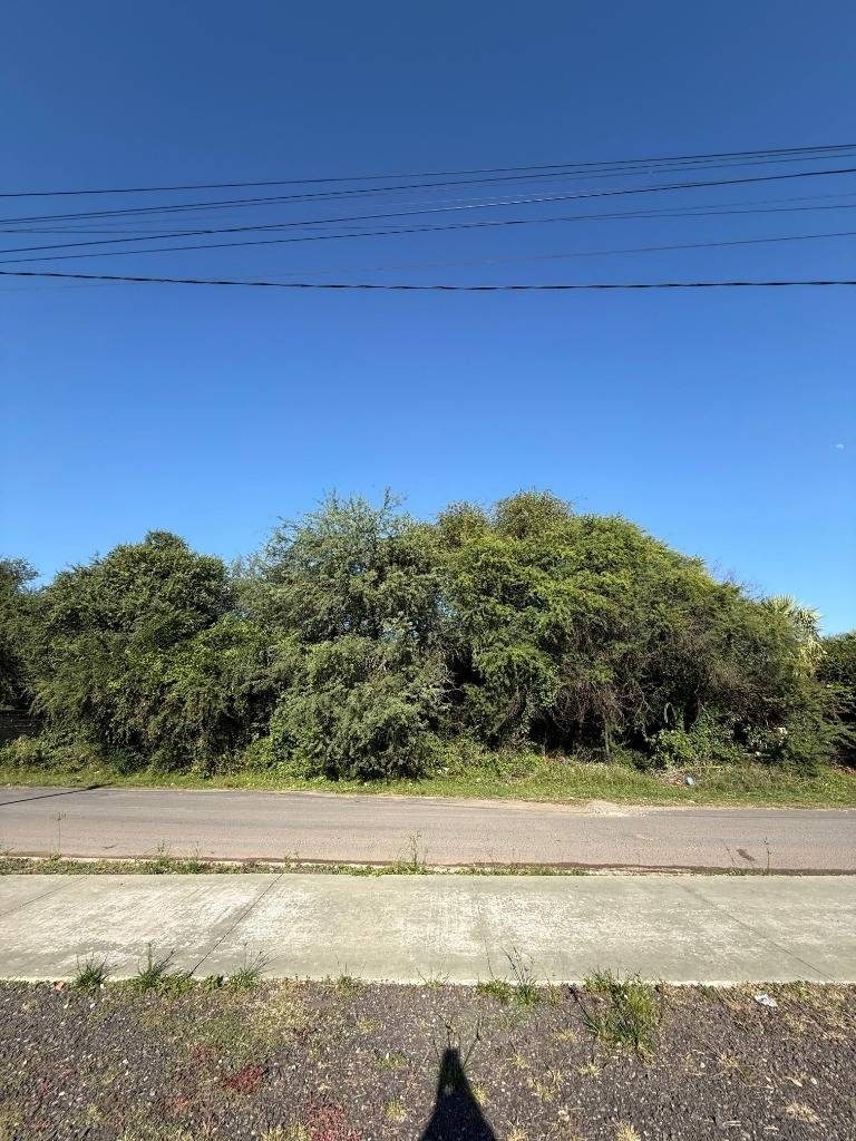 TERRENOS EN VENTA EN JOSÉ FALCÓN  EXCELENTE UBICACIÓN Y GRAN POTENCIAL — foto 2