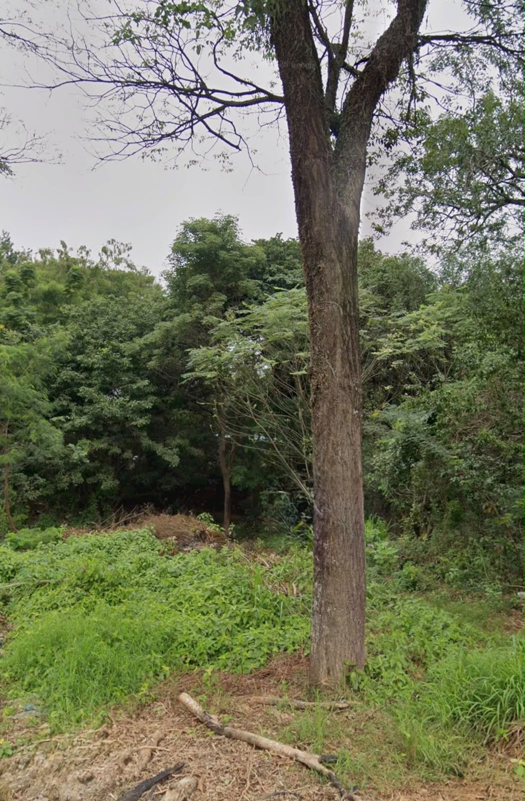 MARIANO ROQUE ALONSO, ZONA INDUSTRIAL, EN VENTA TERRENO DE 360M2 — foto 3
