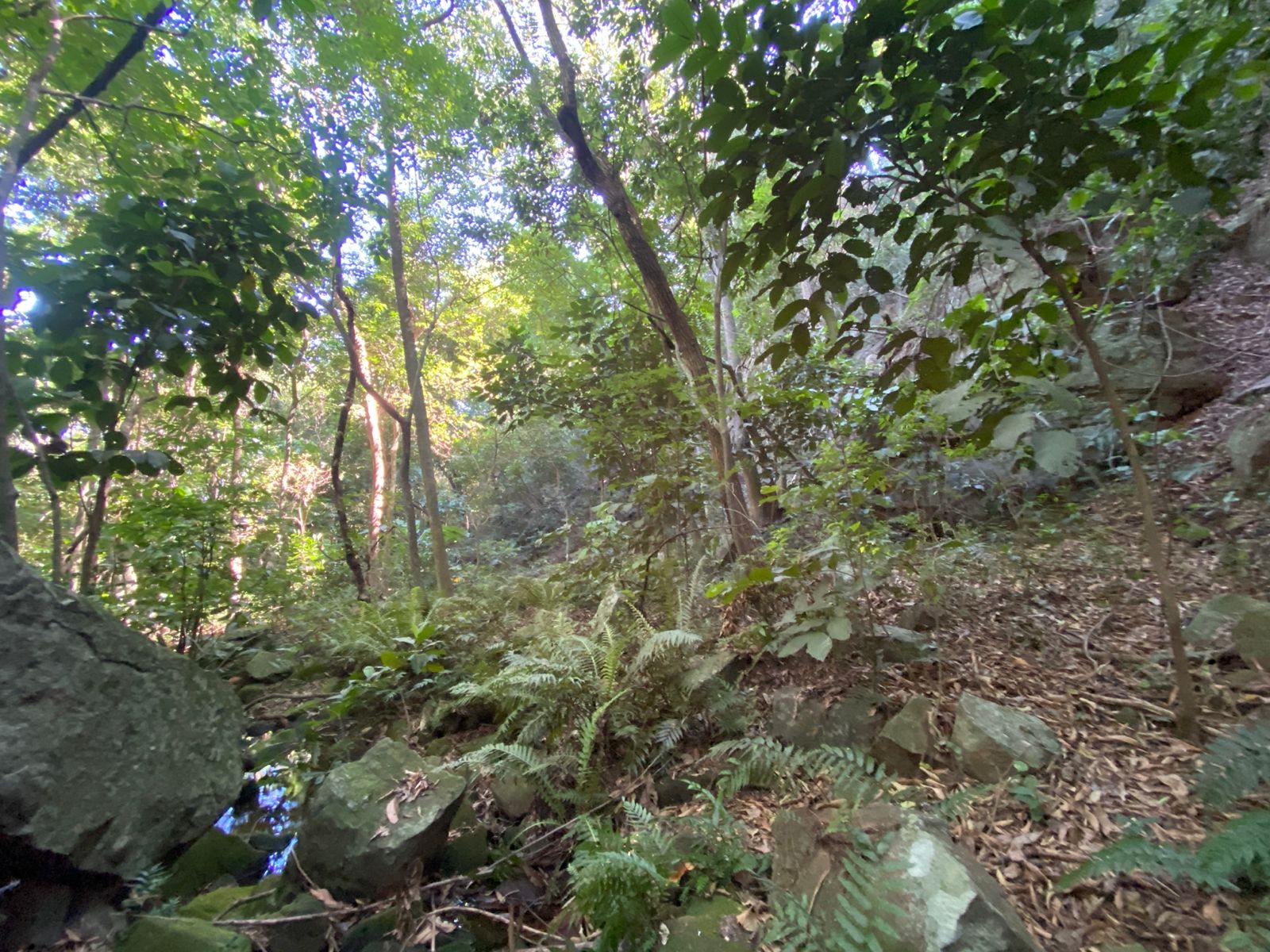 VENDO PROPIEDAD EN PIRAYU — foto 3