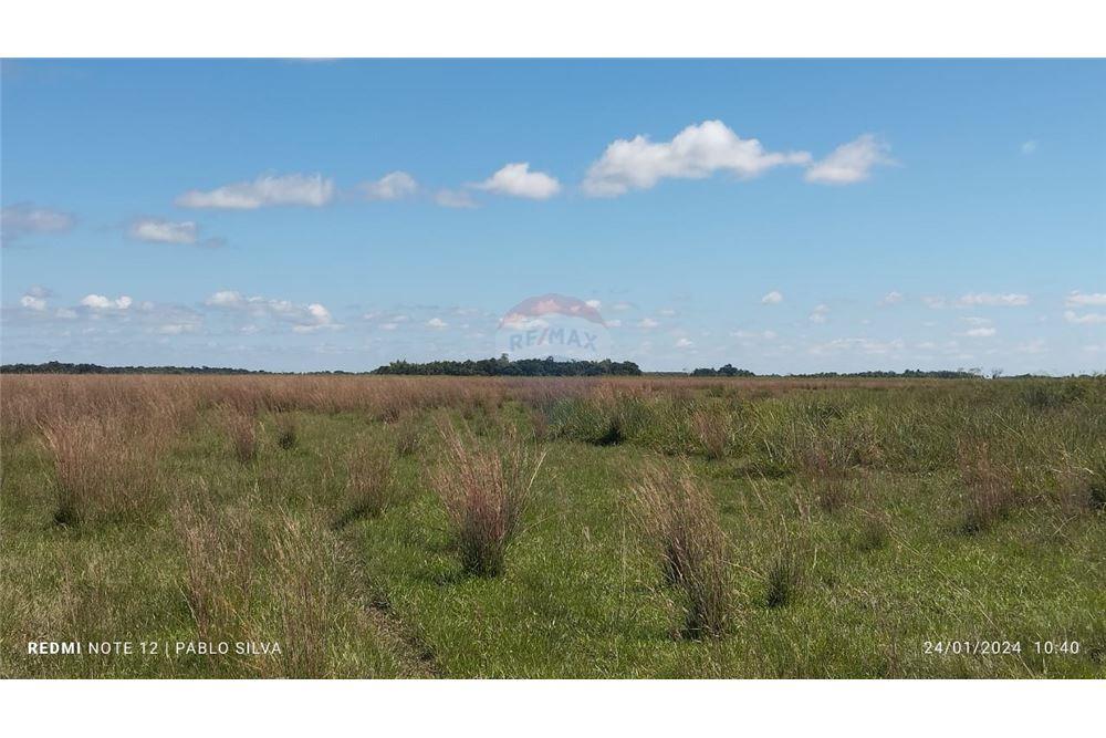 ESPECIAL PARA GANADERIA VENDO 270HA EN ÑEEMBUCU ESTERO KAMBA — foto 2