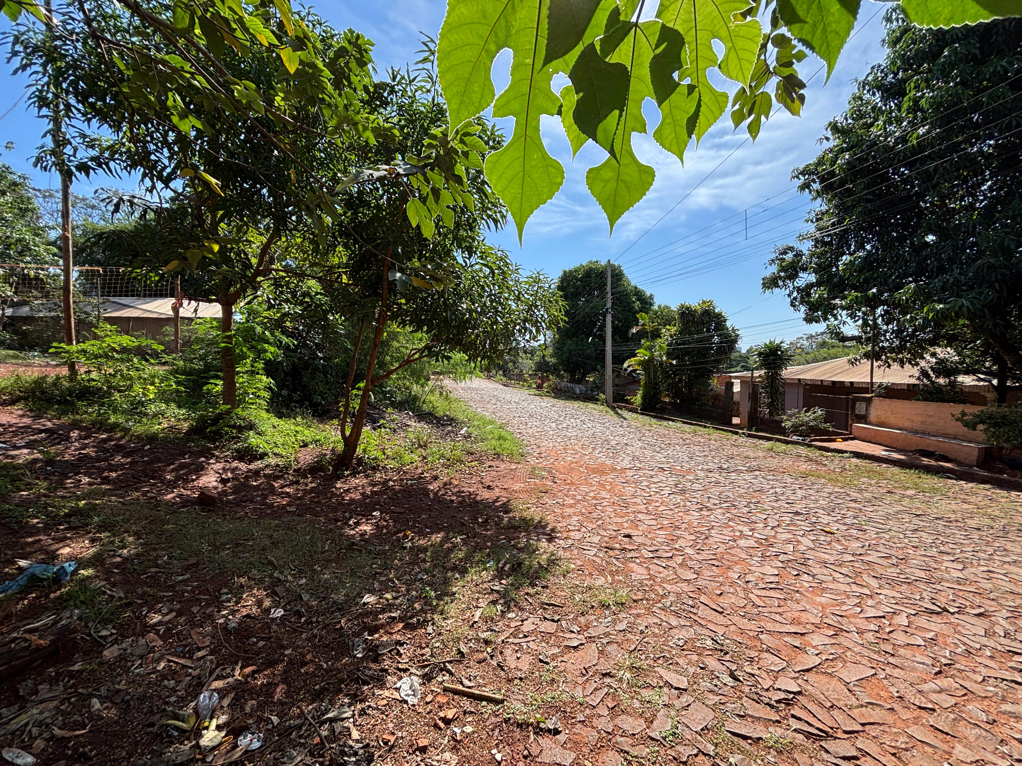 VENDO 2 LOTES JUNTOS EN PRESIDENTE FRANCO — foto 3