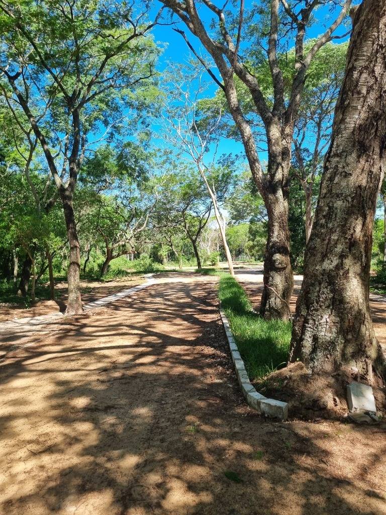 VENDO Terreno en Piedras Blancas - San Bernardino — foto 3