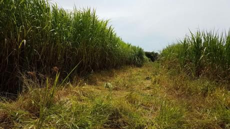 Estancia Para Soja Y Ganaderia En Caaguazu 280 Has.