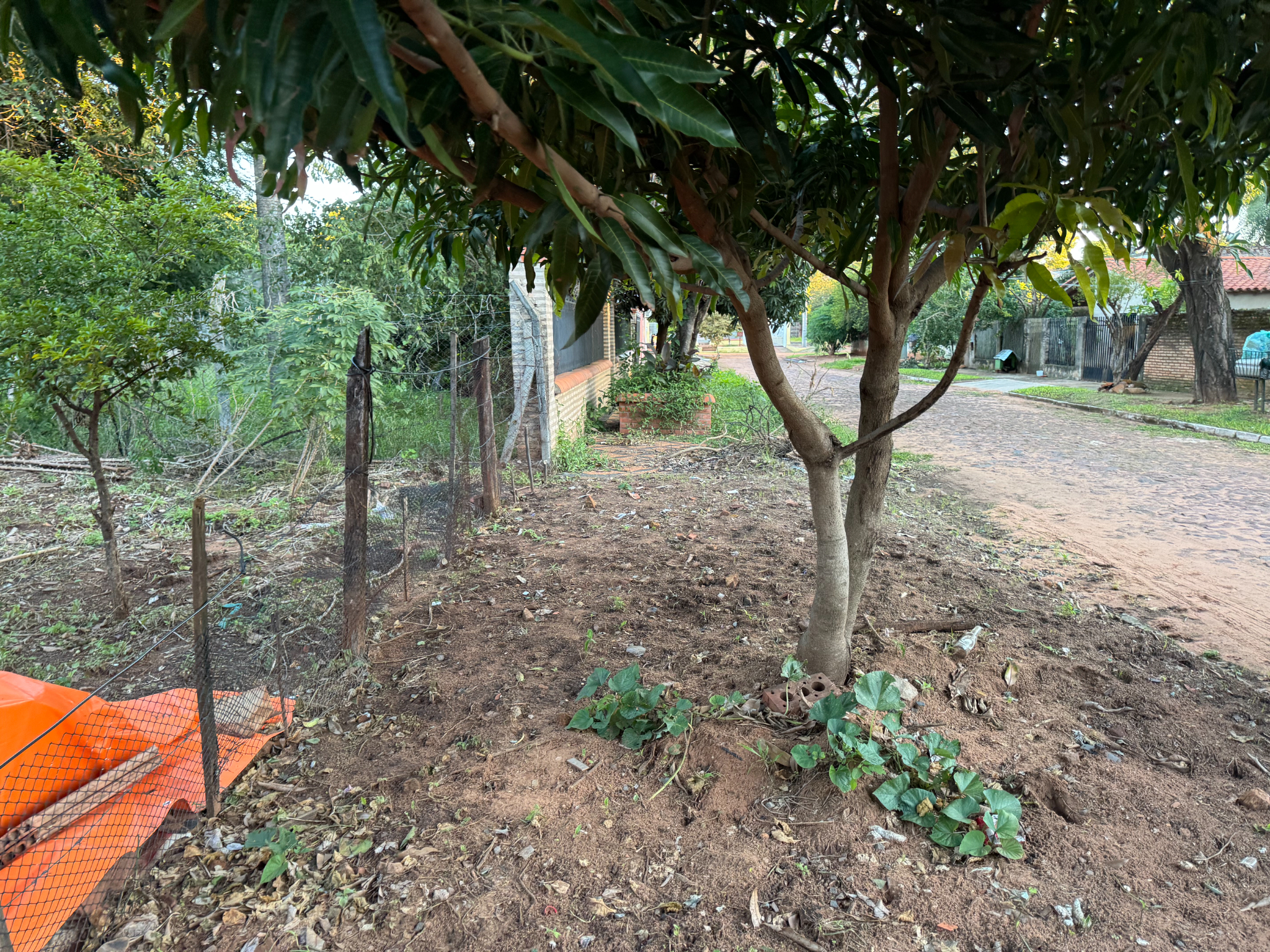 Terreno Titulado Con Opción A Construcción Vía Banco — foto 3