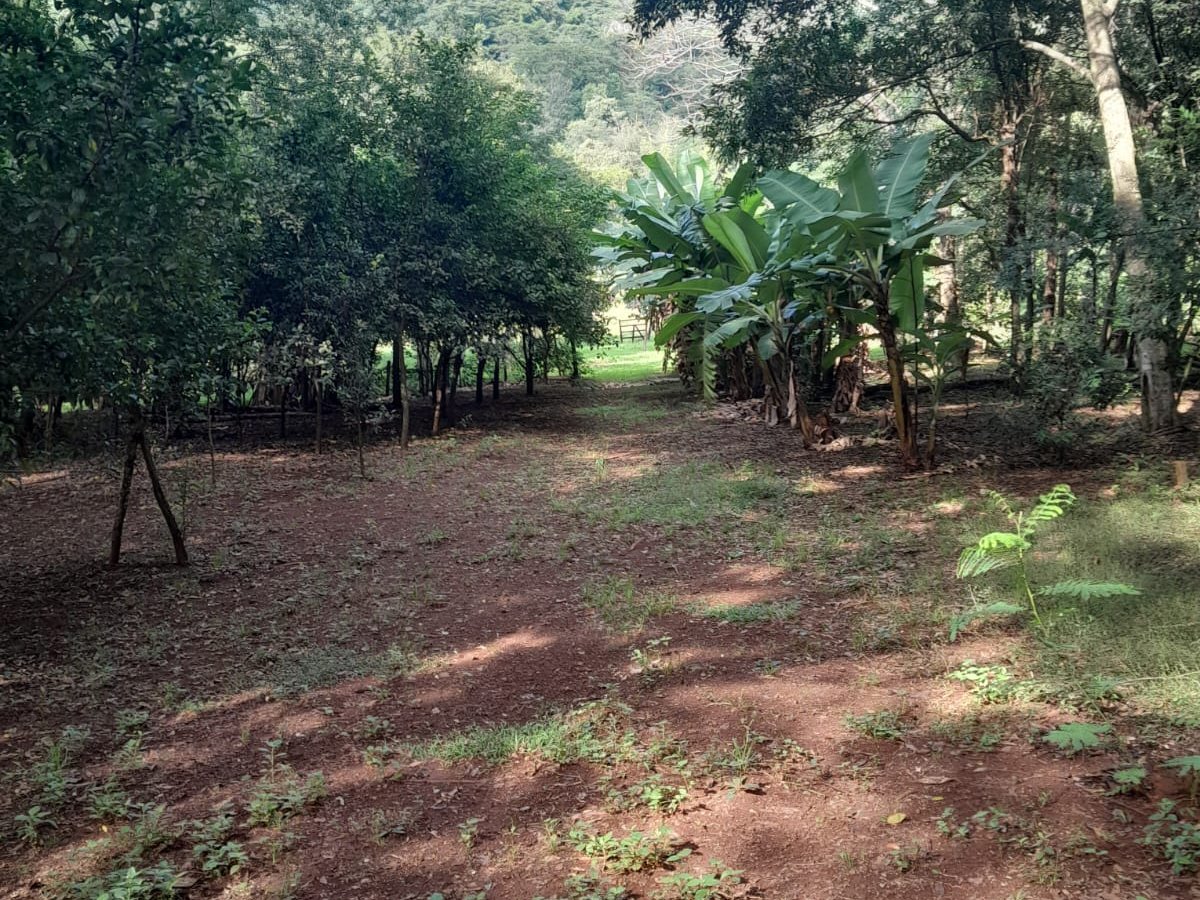 VENDO CASA QUINTA EN VILLARRICA AL PIE DEL CERRO AKATÍ — foto 2