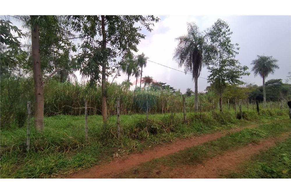 EN OFERTA TERRENO DE 9.000 M2- YAGUARON. — foto 3