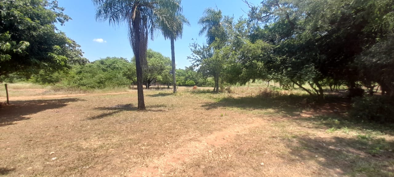 VENDO 3 TERRENOS EN EMBOSCADA — foto 2