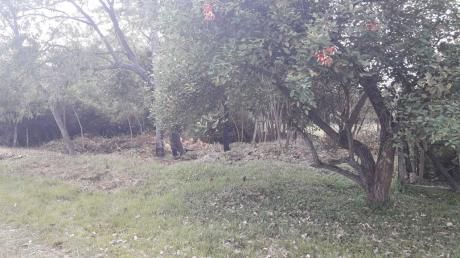 Vendo Terreno En Villa Elisa