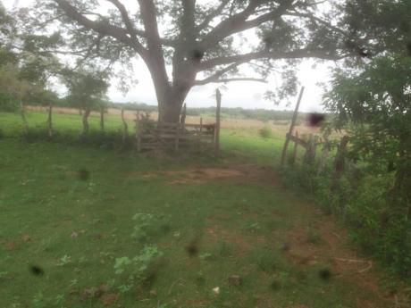 Campo De 2.341 Hectareas En Curuguaty