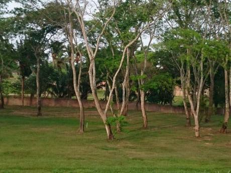 Propietaria Vende Terreno Con Acción En Urbanización Urubó Golf & Country