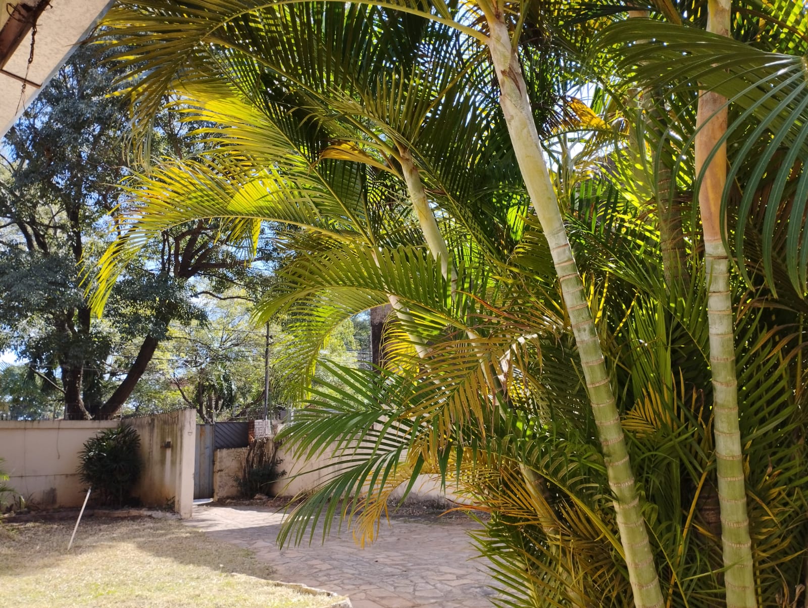 Vendo Sobre La Avda Gral Santos — foto 3