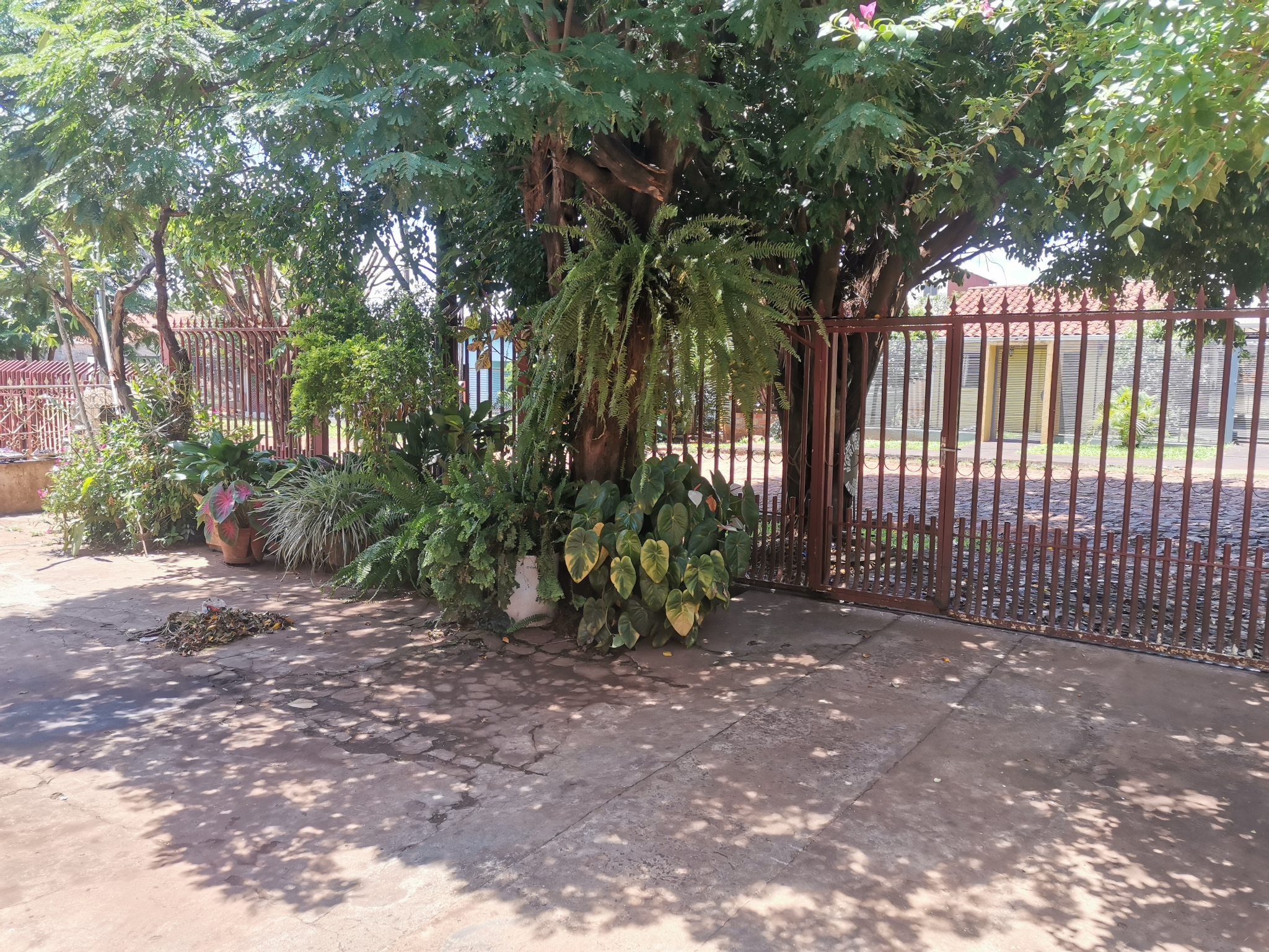 Vendo Casa En Km 5 La Blanca CDE, Por: 350 Millones — foto 2