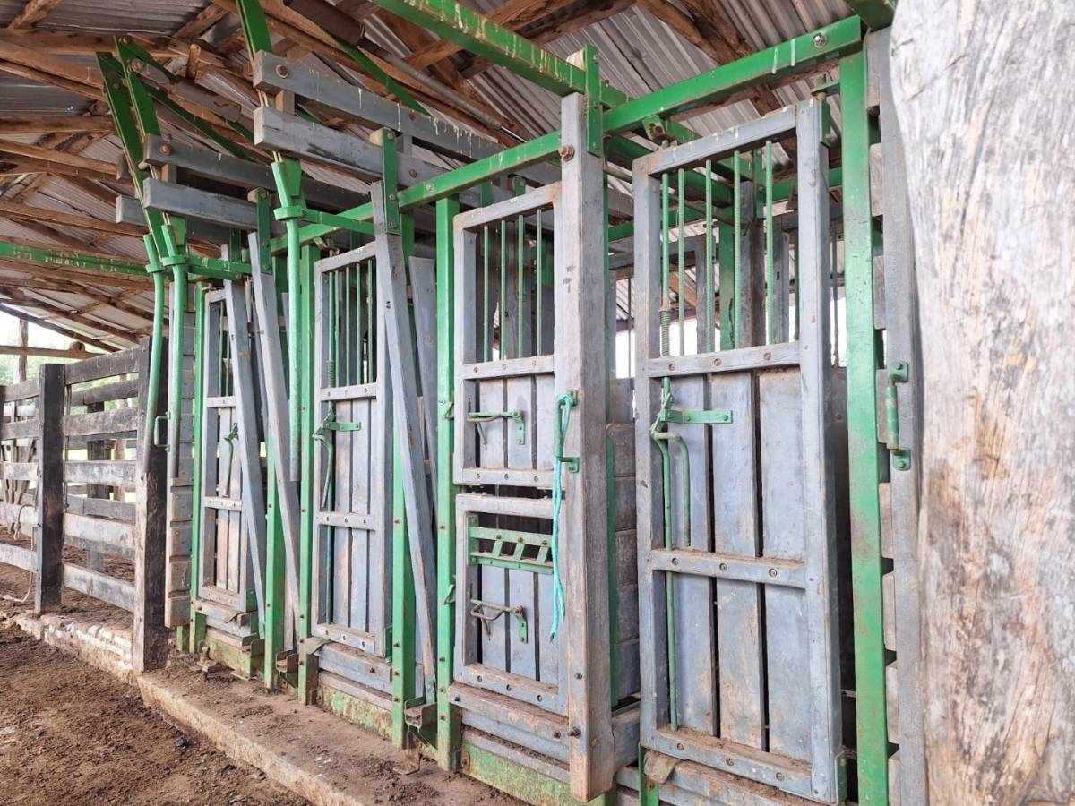 Campo en venta en Horqueta — foto 3