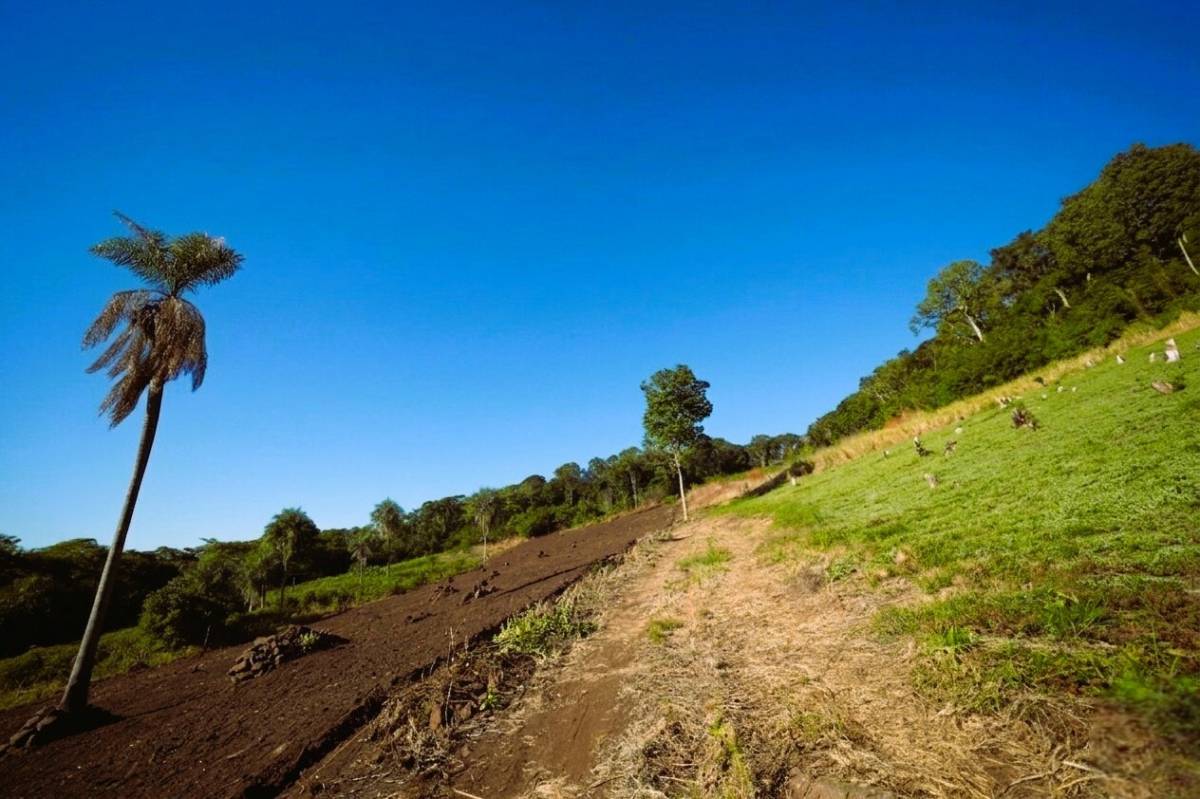 OPORTUNIDAD DE INVERSIÓN, 20 HECTÁREAS EN CERRO CORA - SAPUCAI — foto 2
