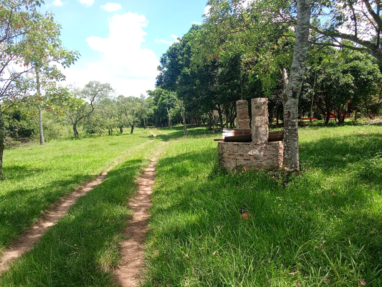 ???? VENDO HERMOSA PROPIEDAD DE 16 HECTÁREAS EN BARRERO GRANDE -EUSEBIO AYALA — foto 2